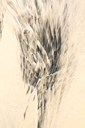 Pablo Marquez, 94 Abstract flor, 2019