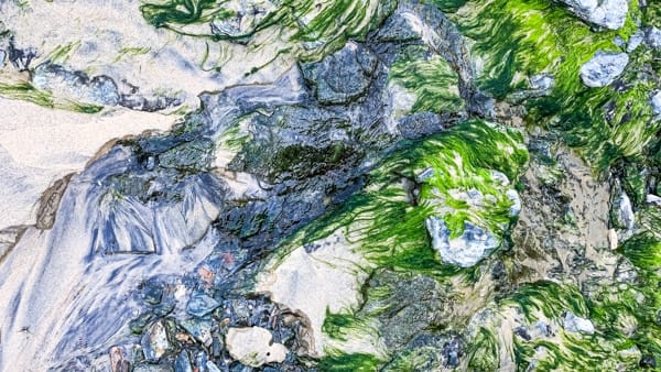 Pablo Marquez, 350 Abstract, 2022