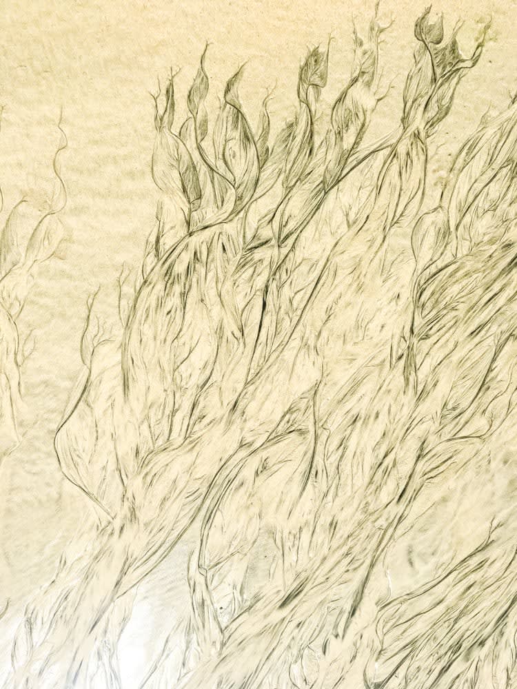 Pablo Marquez, 278 abstract , 2018