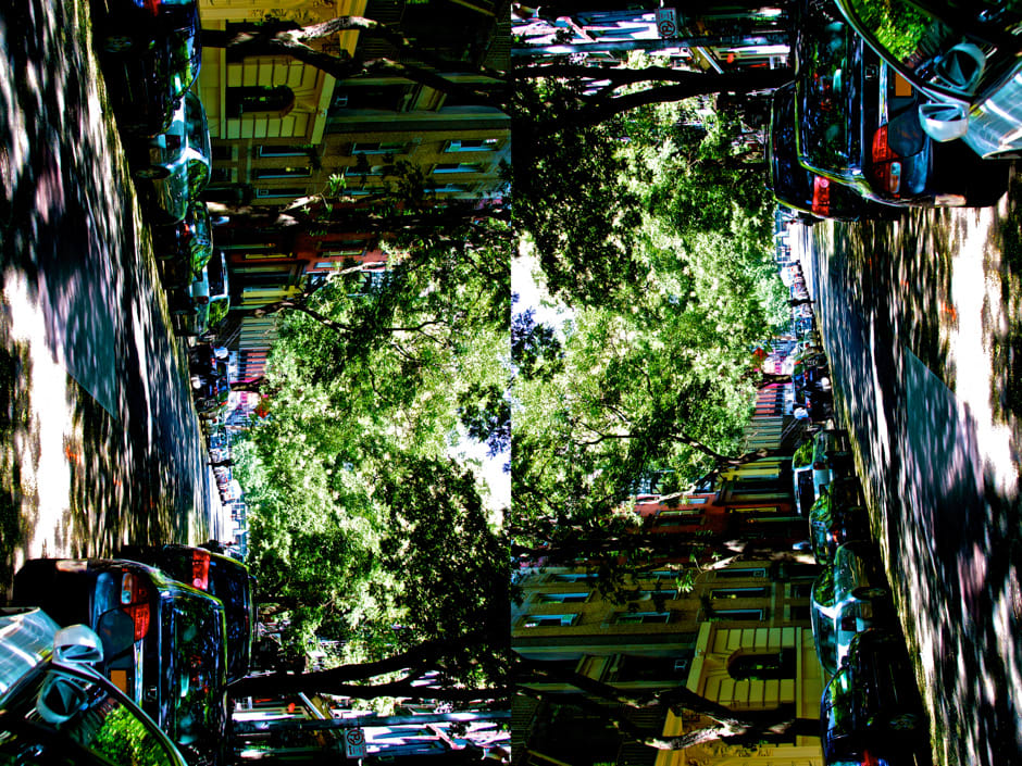 Pablo Marquez, Green morning New York, 2011