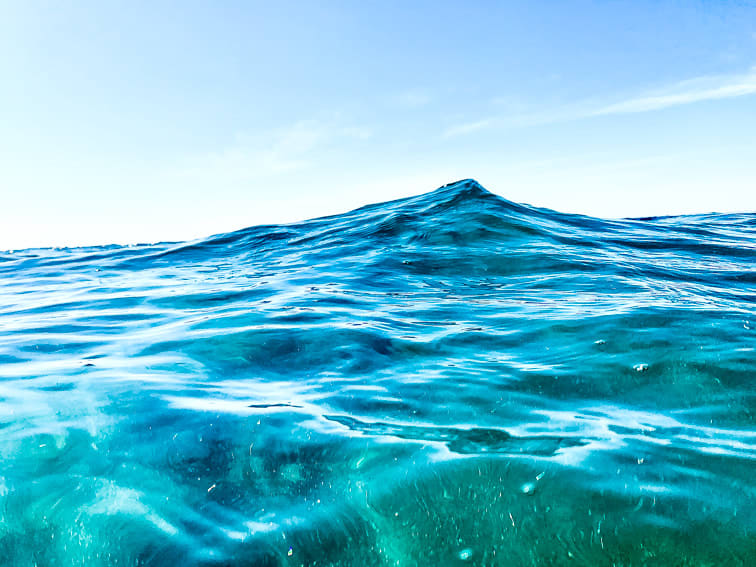 Pablo Marquez, 123 oceanos , 2019