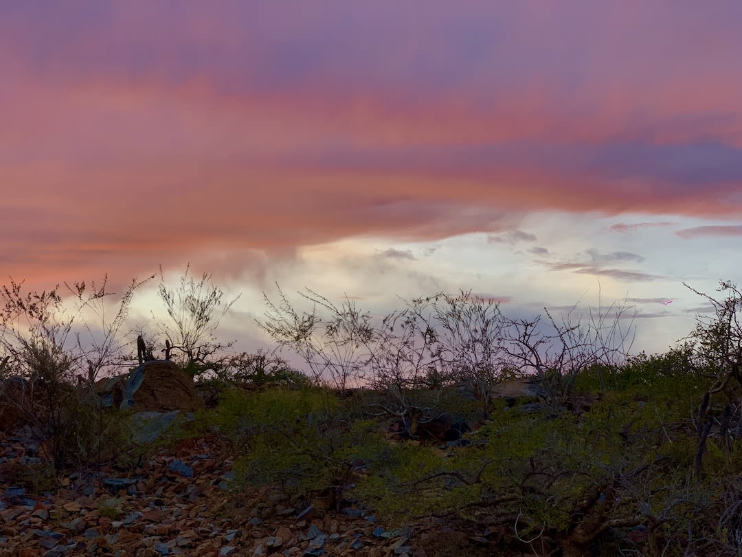 Pablo Marquez, Landscape # 151. Creencia, # 151, 2020