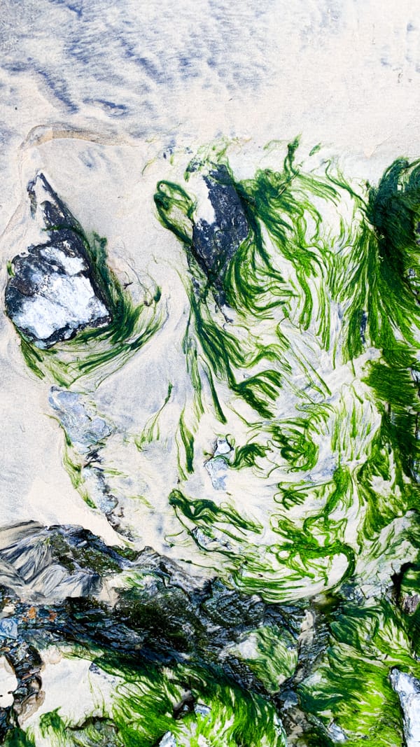 Pablo Marquez, abstract 338, 2022