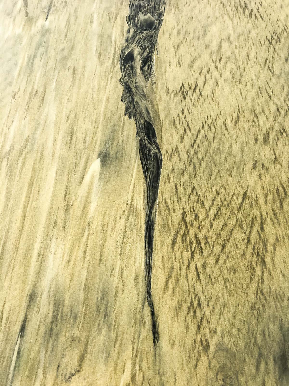 Pablo Marquez, abstract 218, 2018