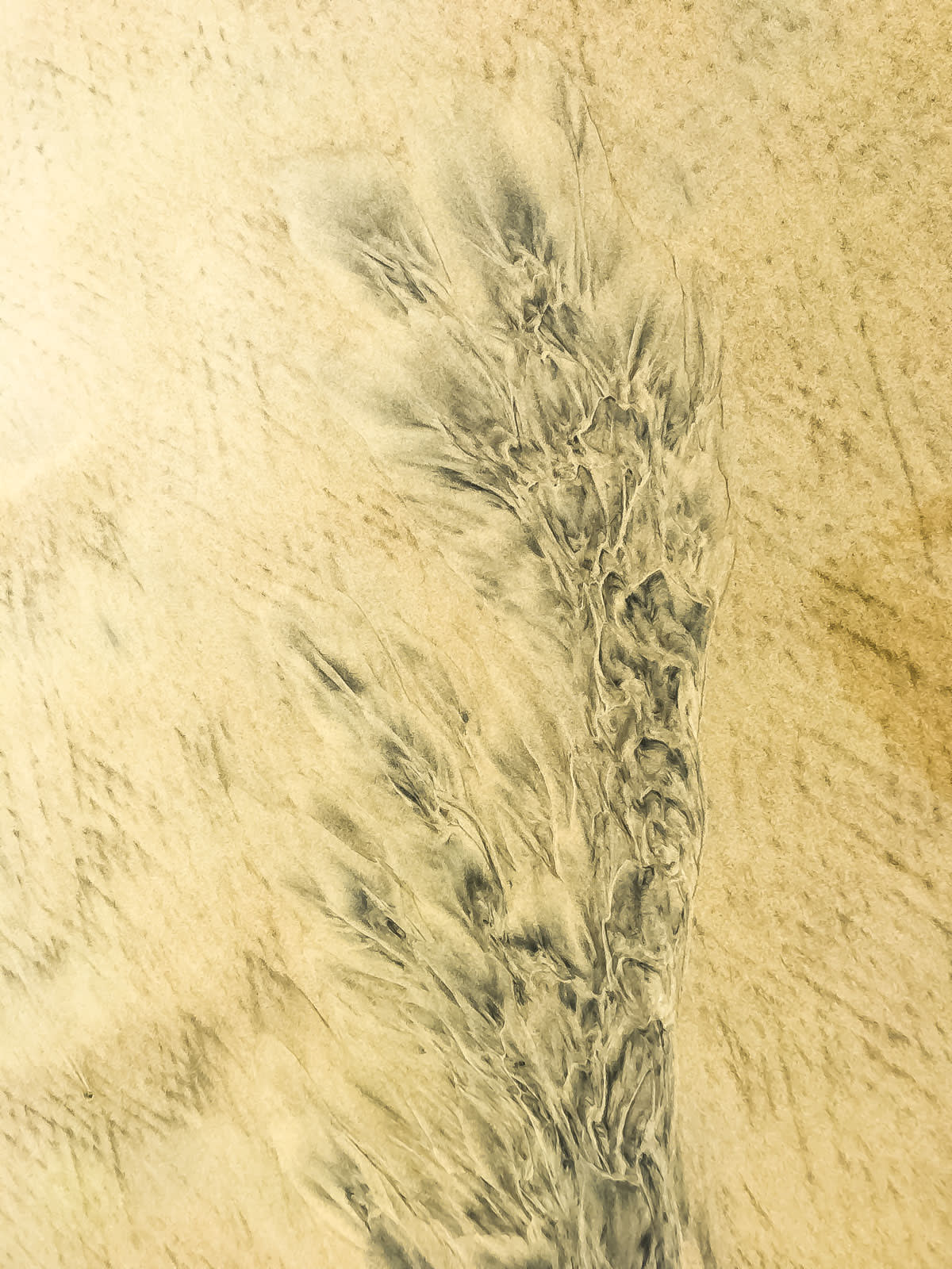 Pablo Marquez, abstract 283, 2020