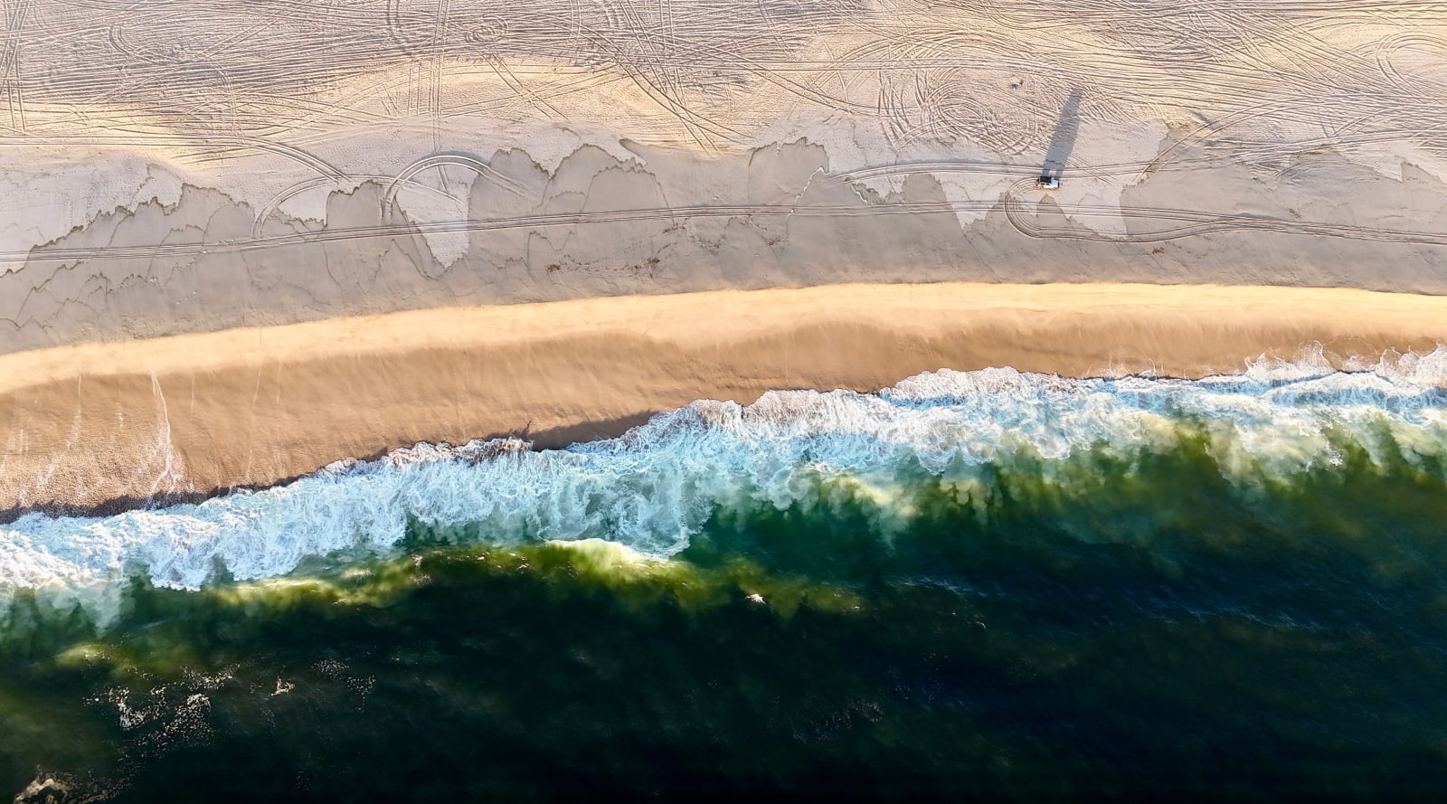 Pablo Marquez, 528 Marks, 2025