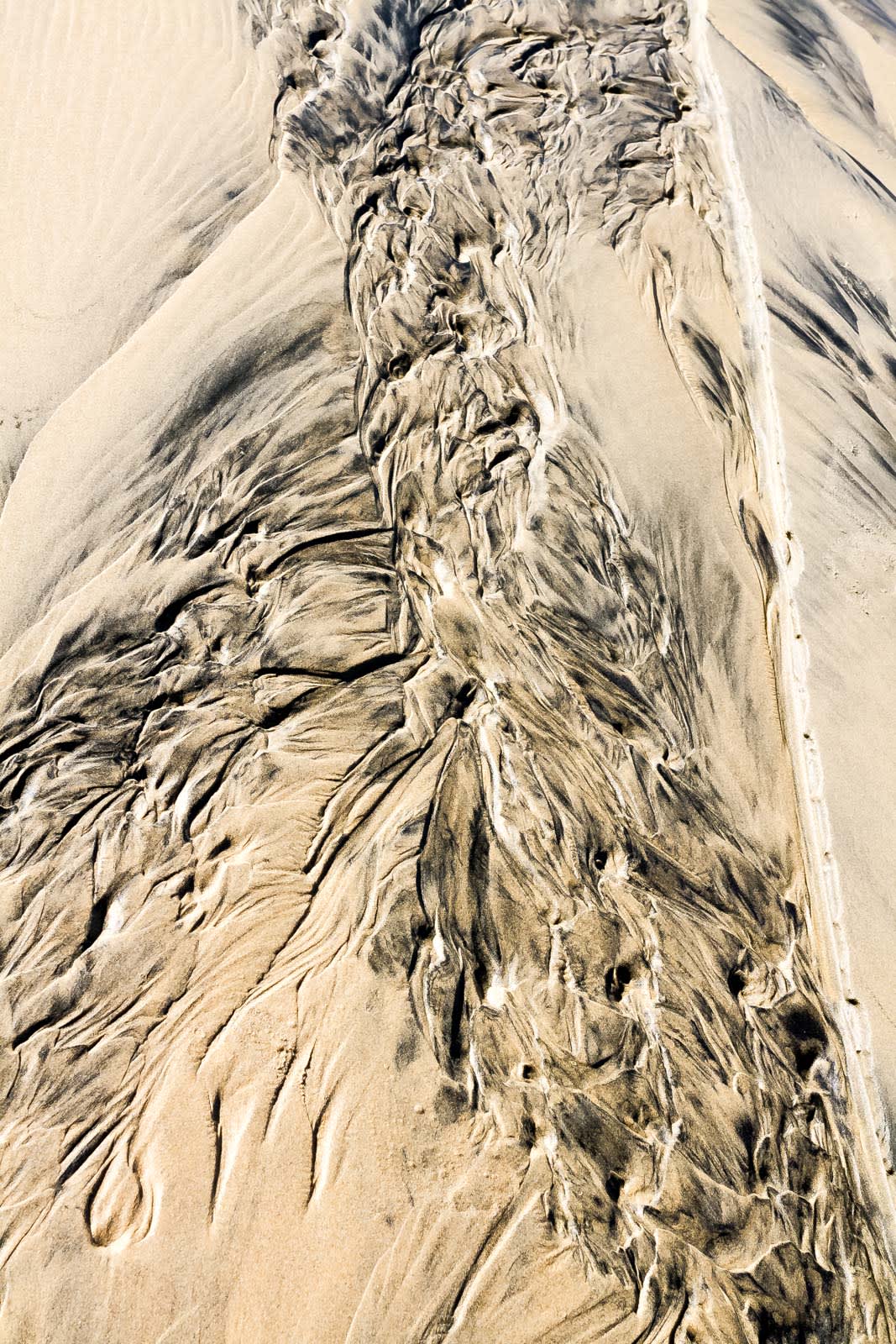 Pablo Marquez, abstract 197. Paulette, 2019