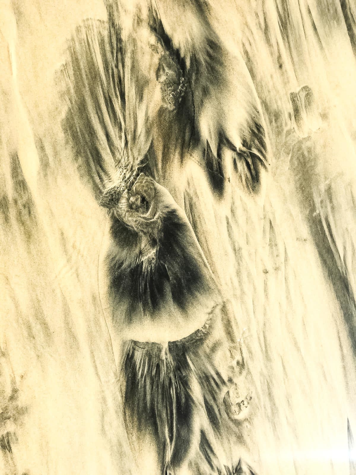 Pablo Marquez, 215 abstract , 2018