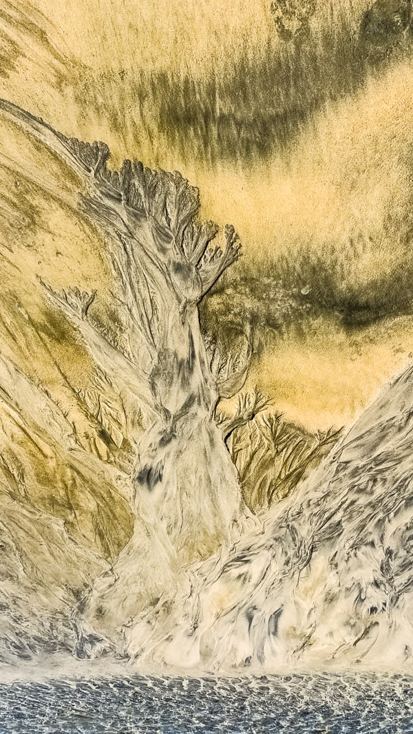 Pablo Marquez, 327 Abstract Tree, 2022