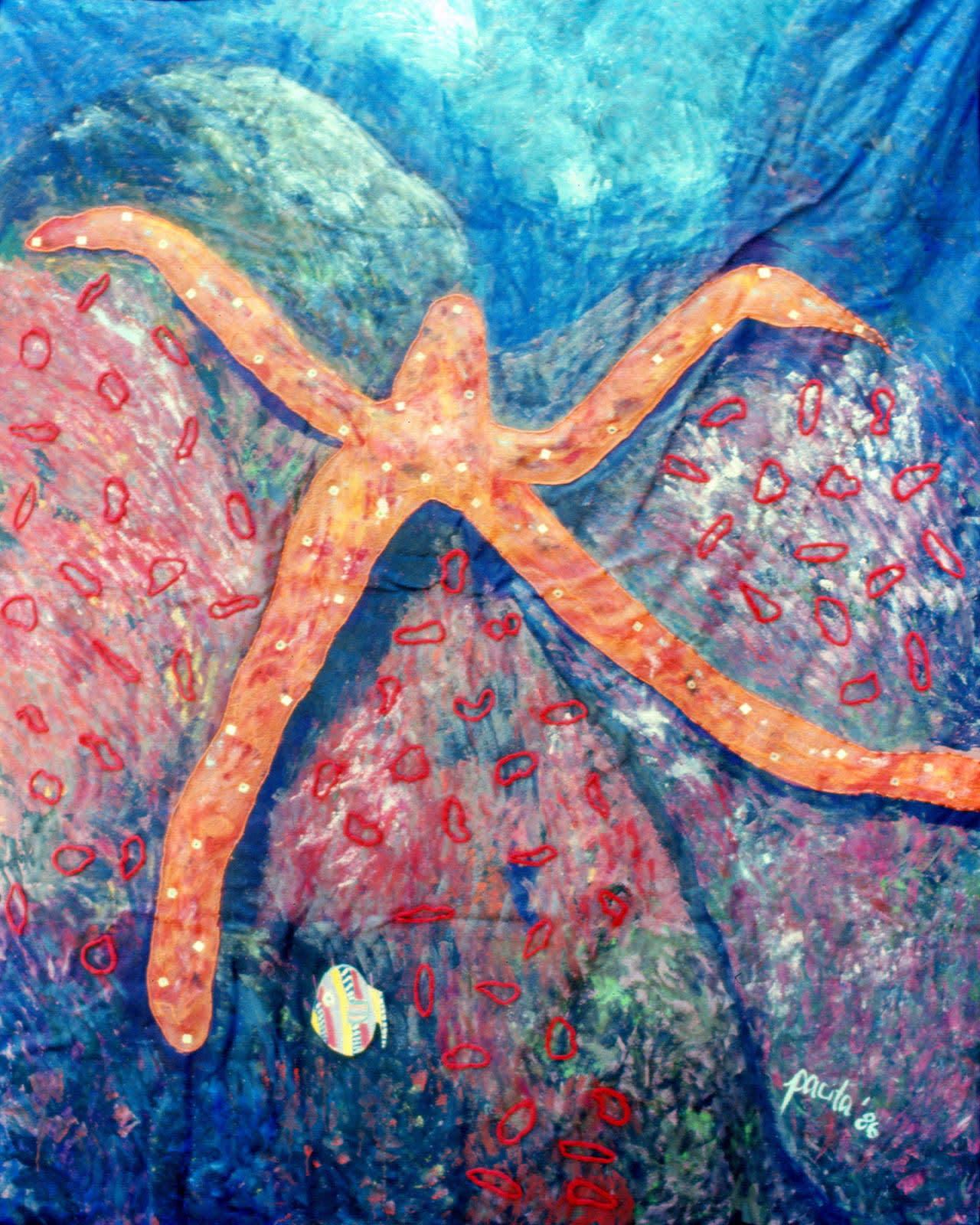 Underwater Wilderness, Orange starfish, 1986