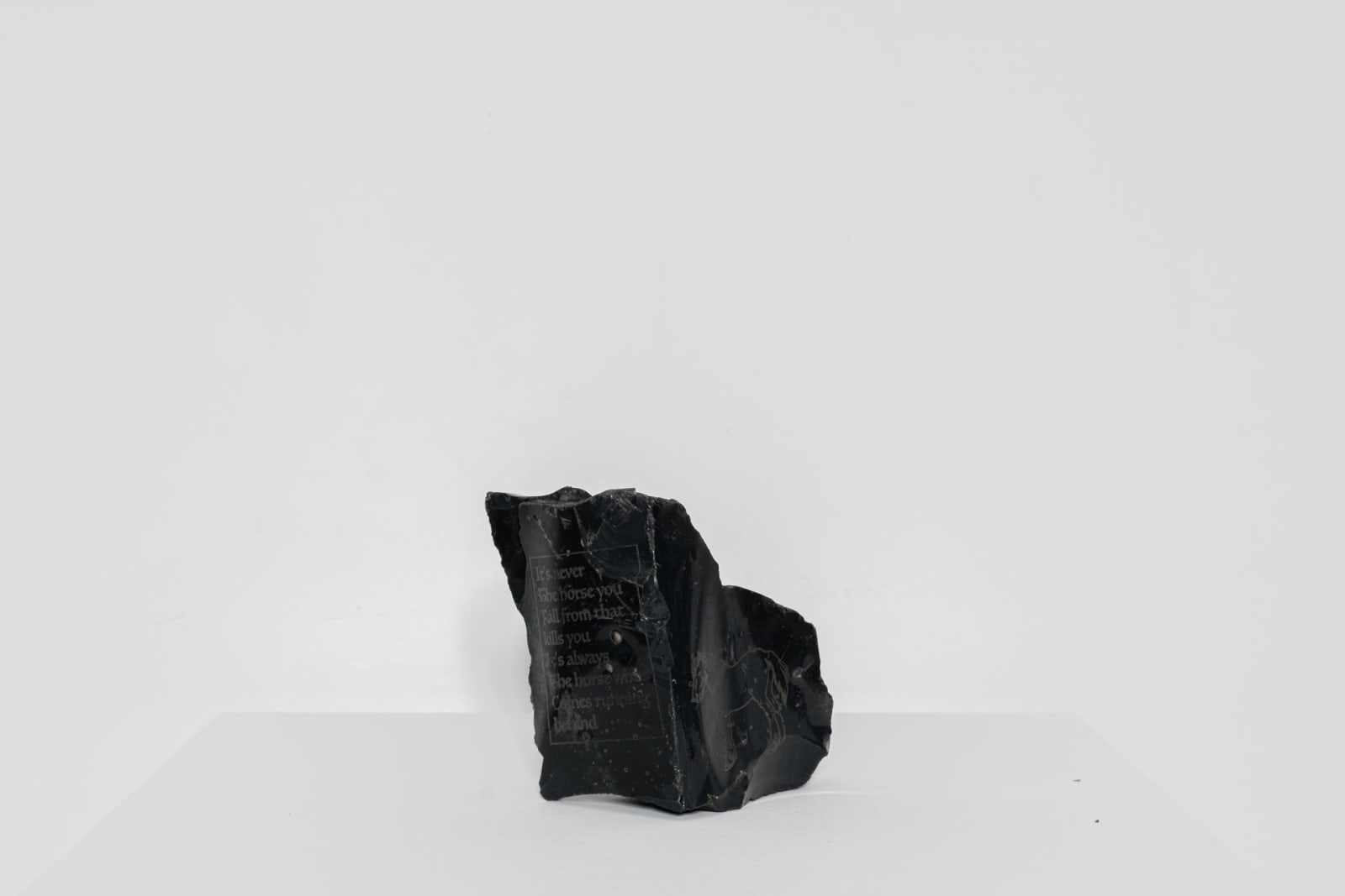Andy Holden, Misanthropocene, 2025