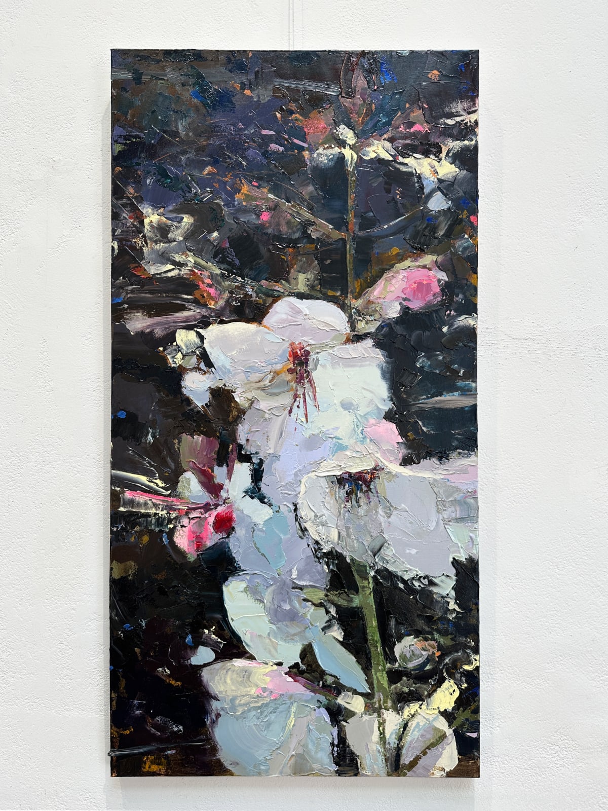 Carolyn Meyer, Wild Bloom, 2023