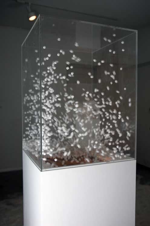 Magnus Sigurdarson, Contained Storm III, 2010