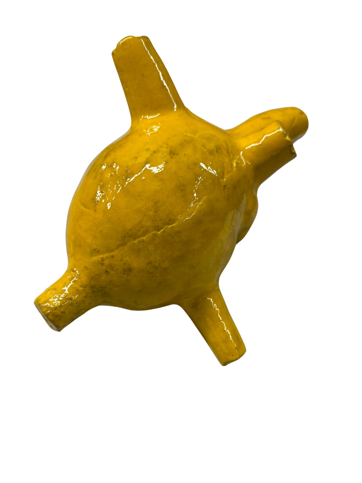 Carlos Nicanor, 2024