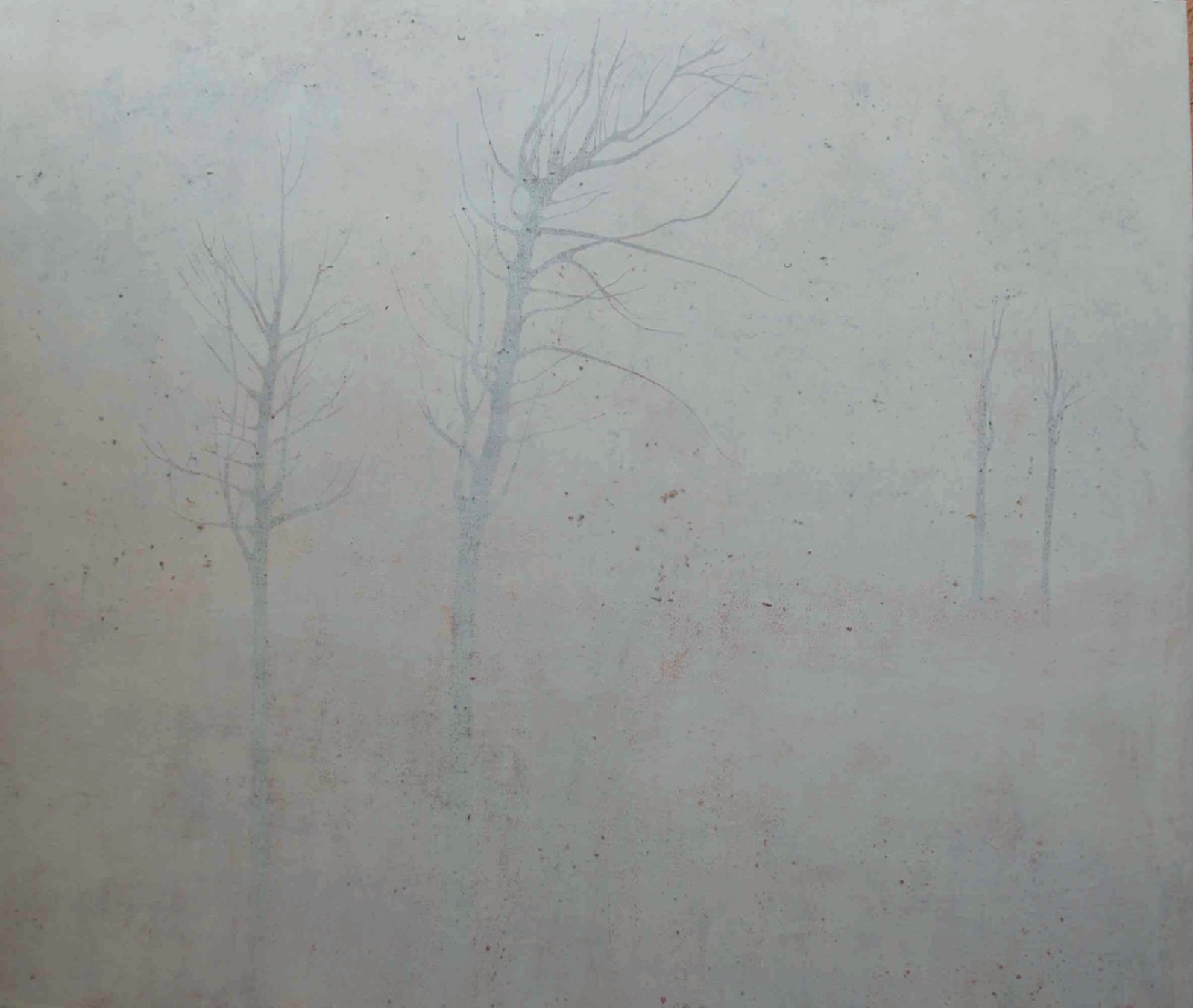Adriana Rocha, Serie: Sepias 6, 2006