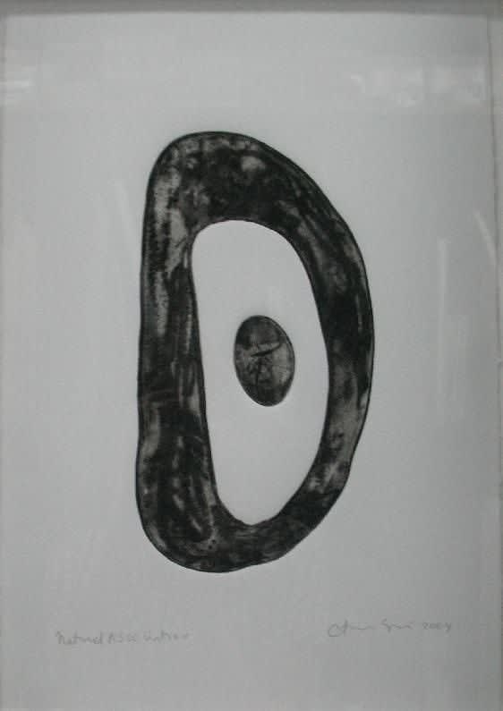 Carolina Sardi, Natural Association I, 2004