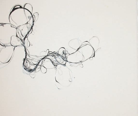 Andrea Cote, Untitled, from Wisps Series, 2009