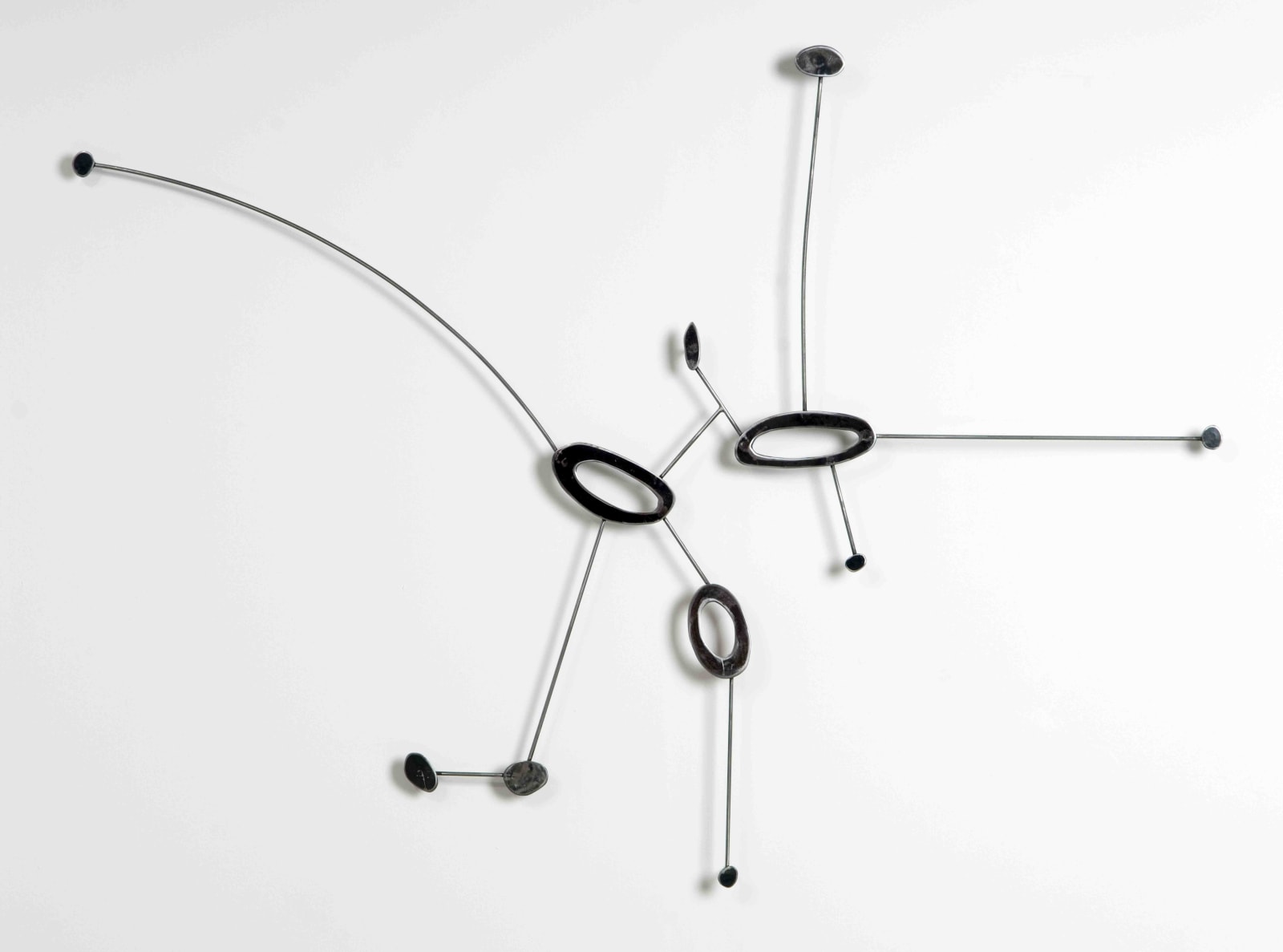 Carolina Sardi, Cluster # 1, 2010