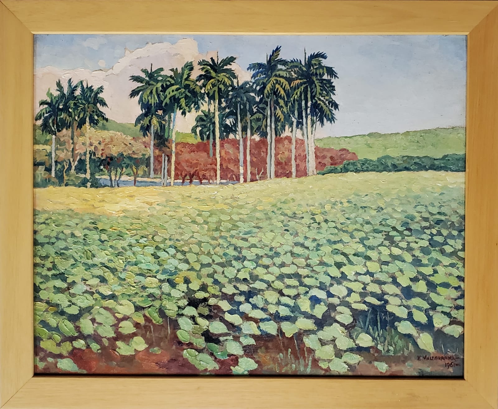 Esteban Valderrama, Landscape, 1961