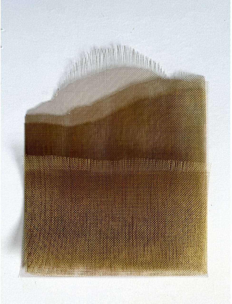 Elizabet Cerviño, Escape, 2025