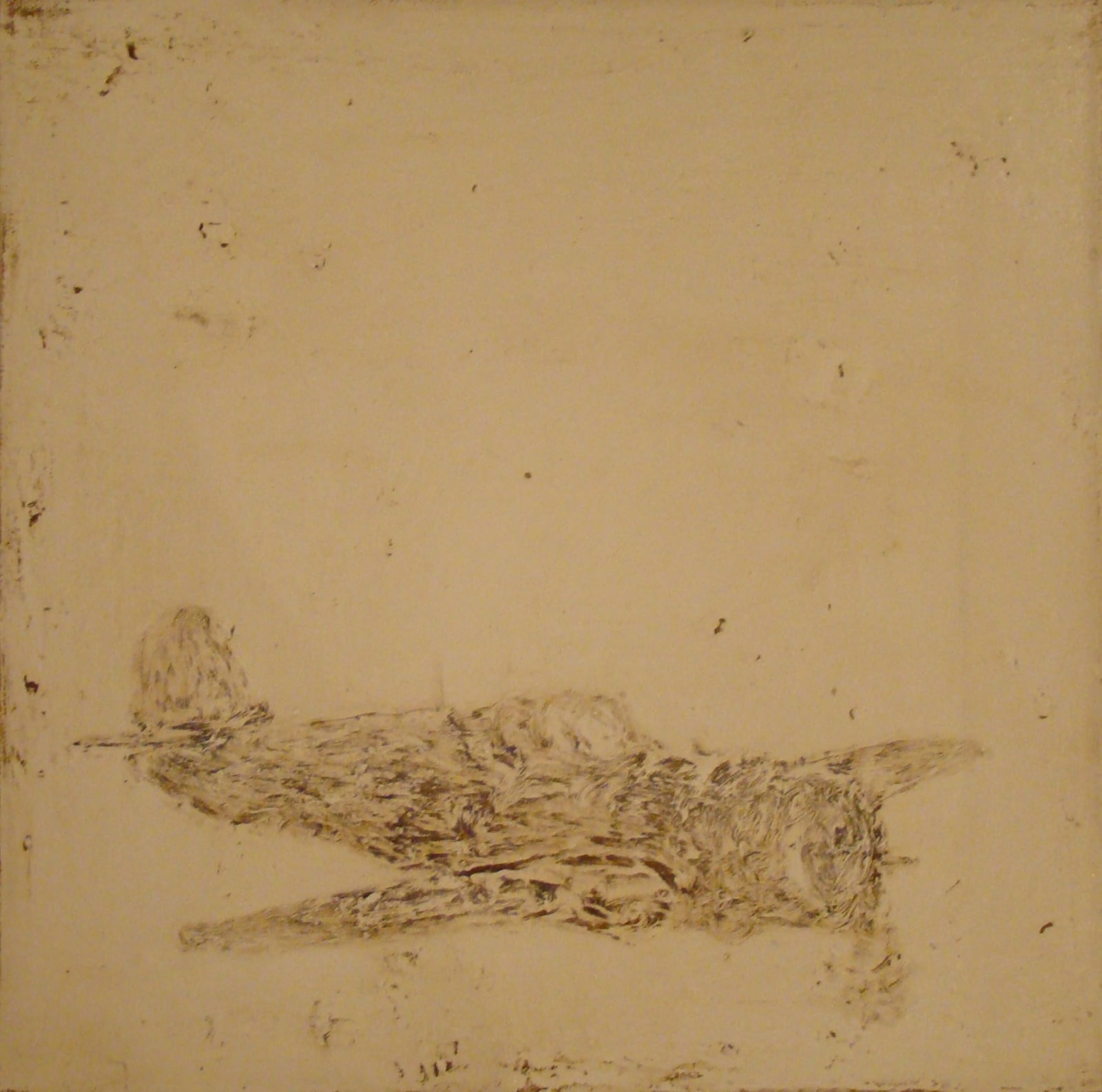 Paul Manes, Frozen Fur, 2007