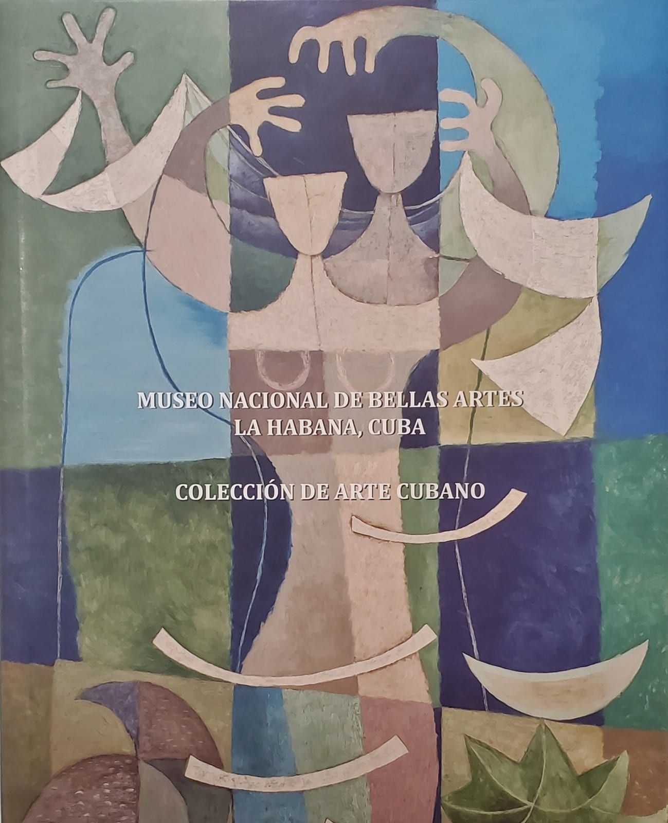 Museo Nacional de Bellas Artes. Coleccion de Arte Cubano, 2013
