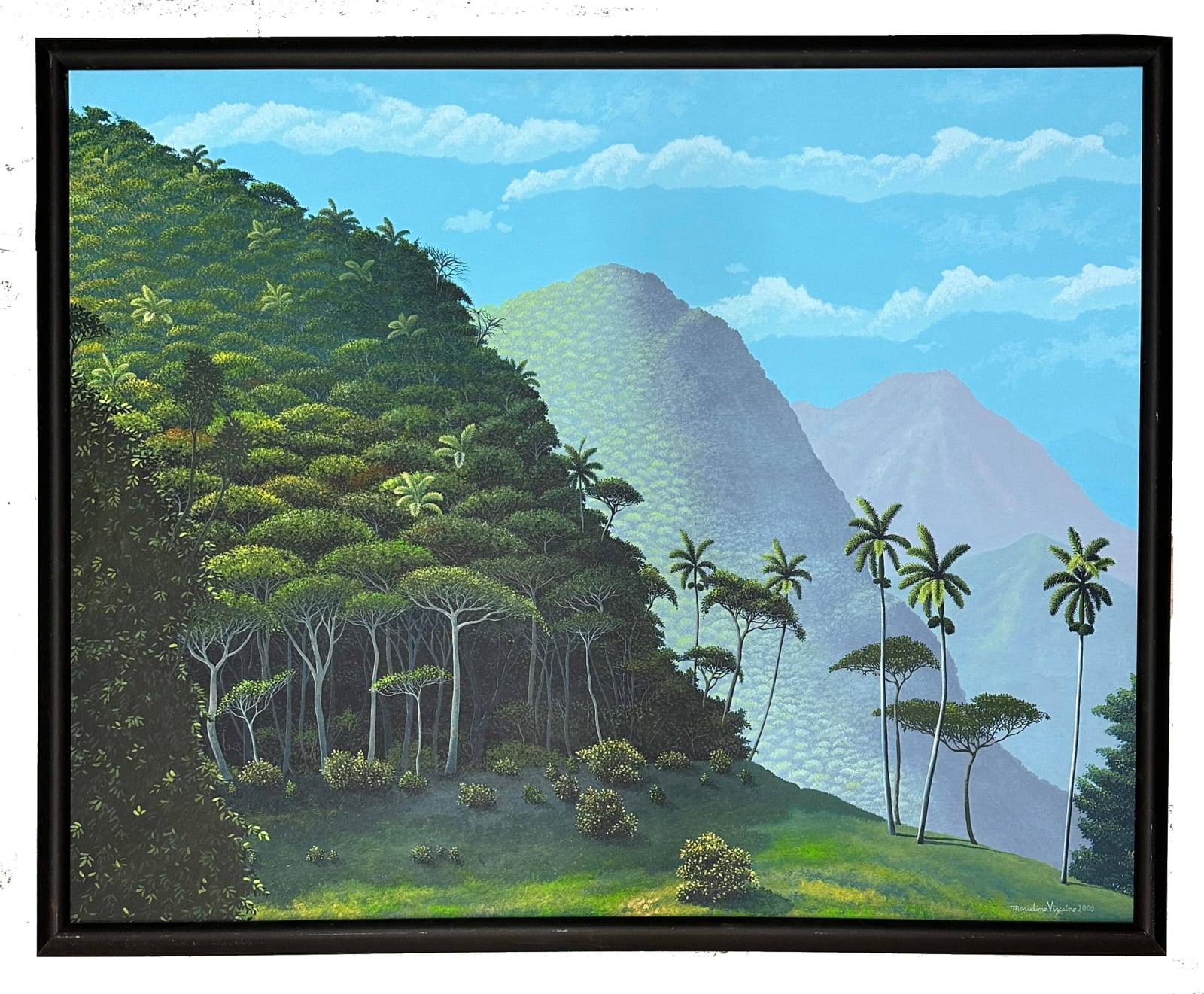 Marcelino Vizcaino, Elevaciones Boscosas, 2000