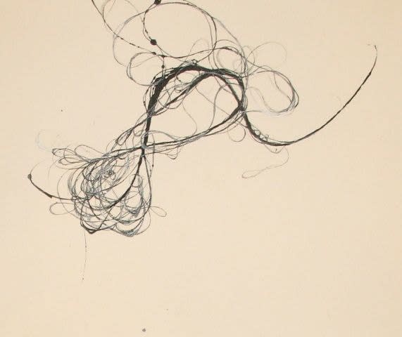 Andrea Cote, Untitled, from Wisps Series, 2009