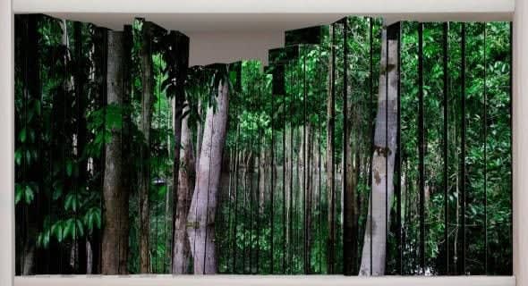 Claudia Jaguaribe, Biblioteca VI, 2008