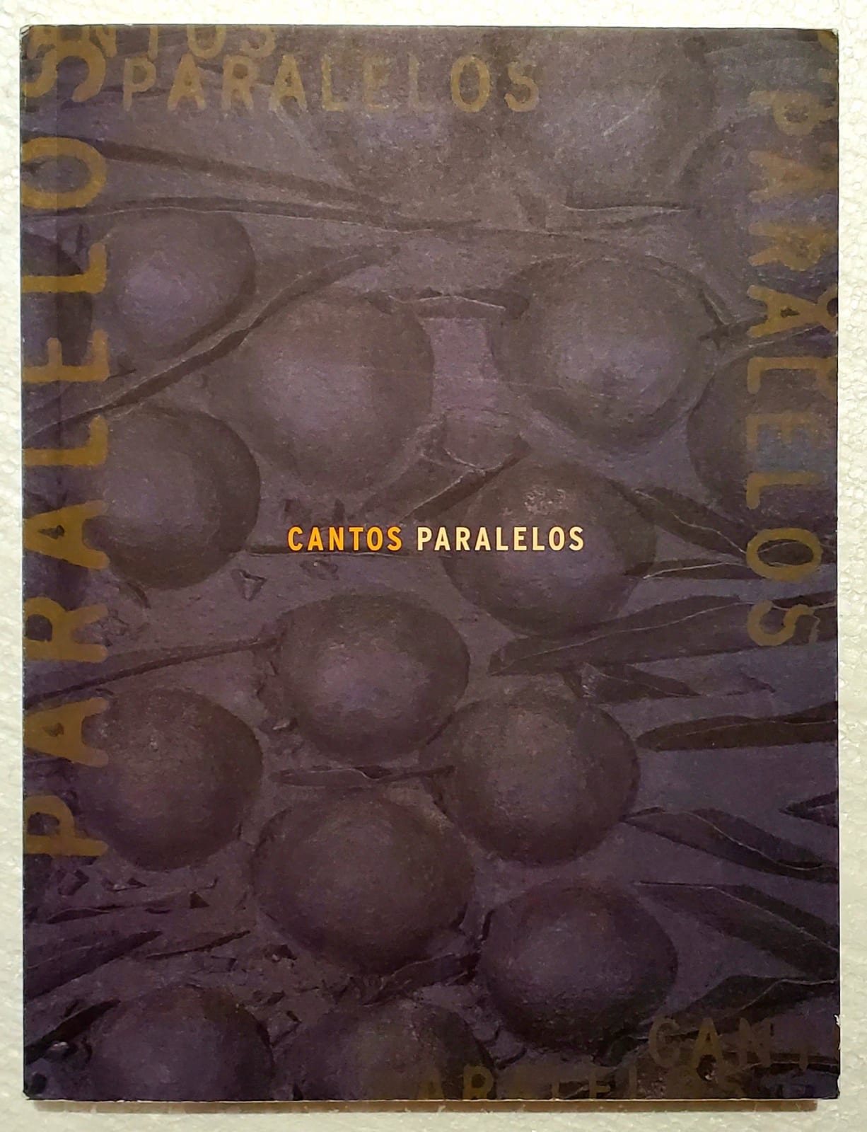 Cantos Paralelos: Visual Parody in Contemporary Argentine ARt, 1999