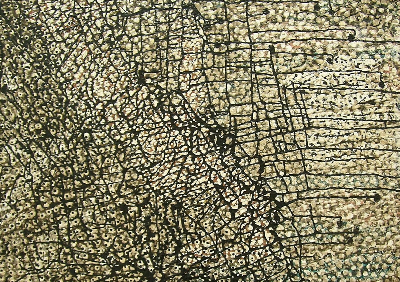 Minerva Lopez, Piedra s/ Piedra, 2006