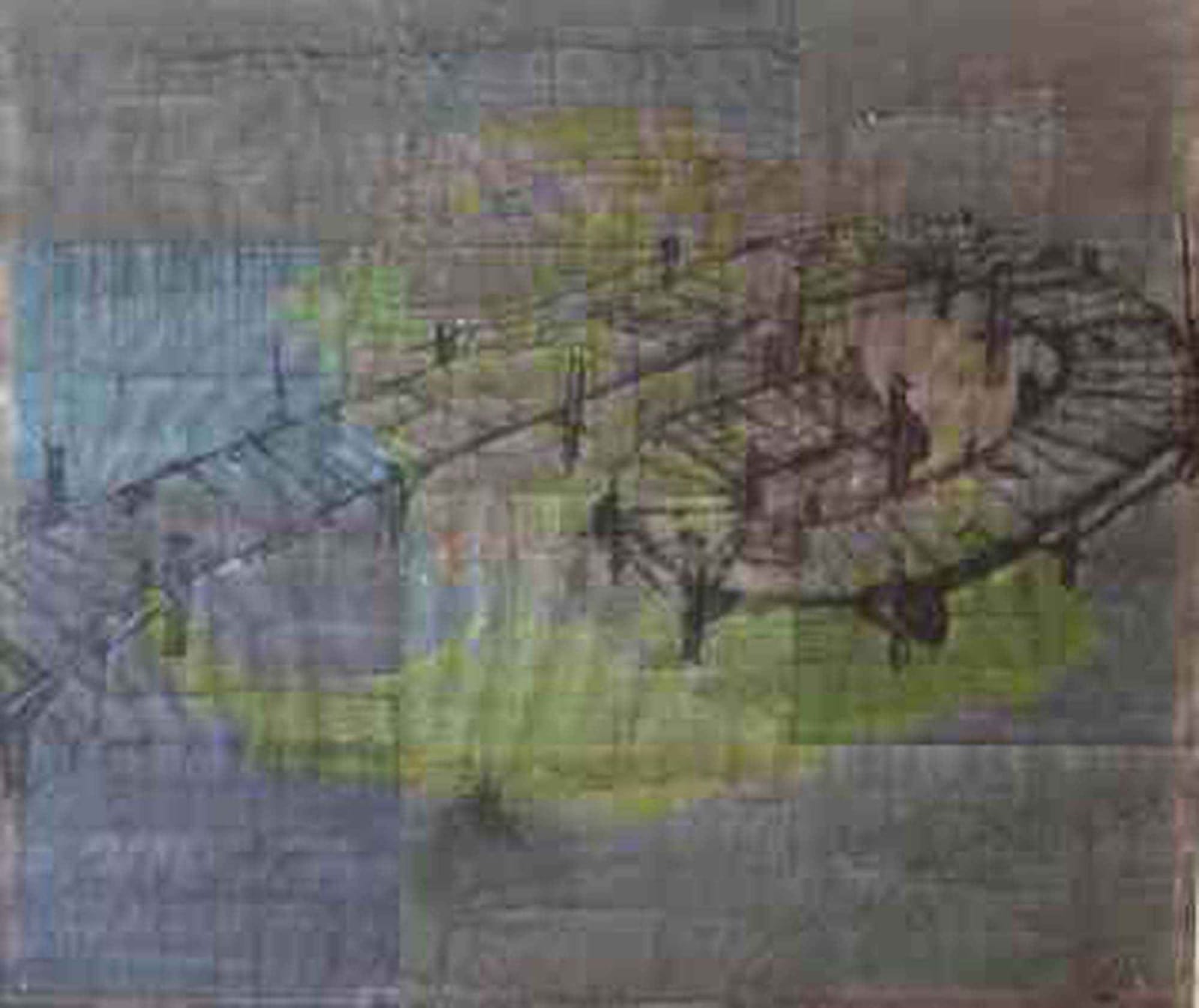 Kcho, Belguim, 2001