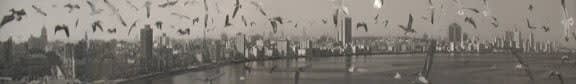 Ernesto Javier Fernandez Zalacain, Tomo de la Habana por los Pelicanos, 2007