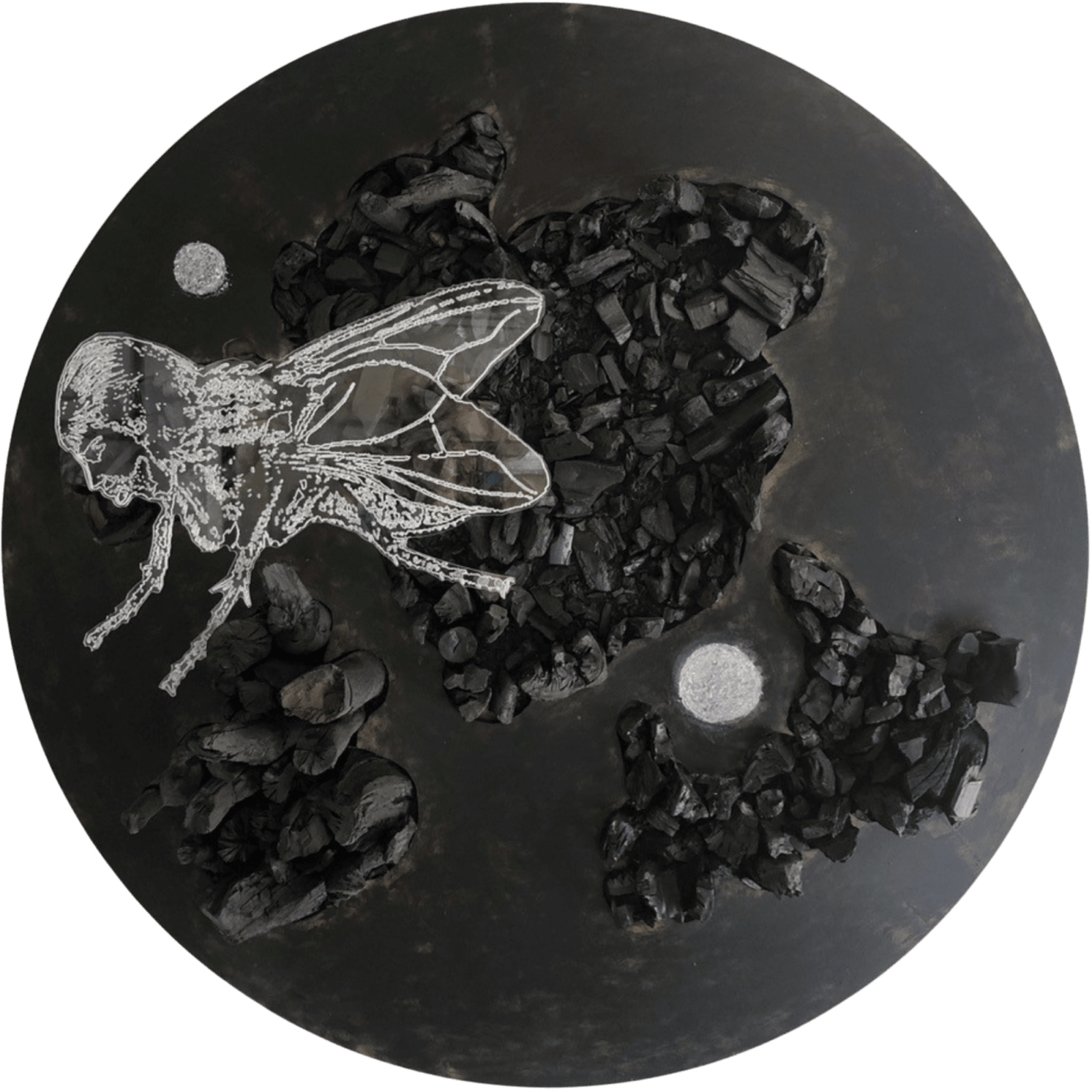 Sandra Ramos, Fly. Series Resurrection (Ashes & Diamonds), 2018