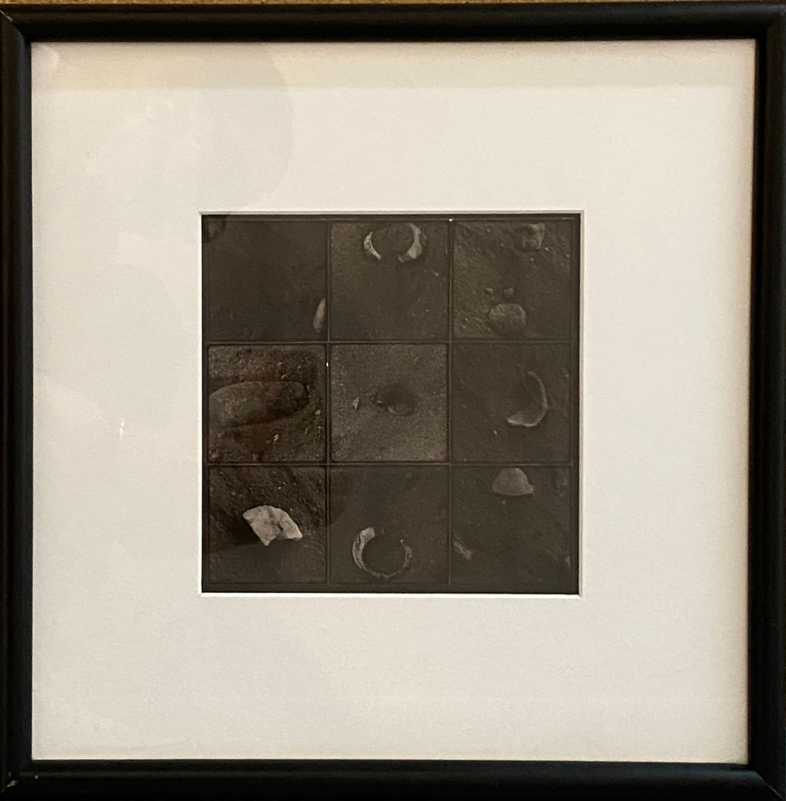 Jose Manuel Fors, Shells, 1990's