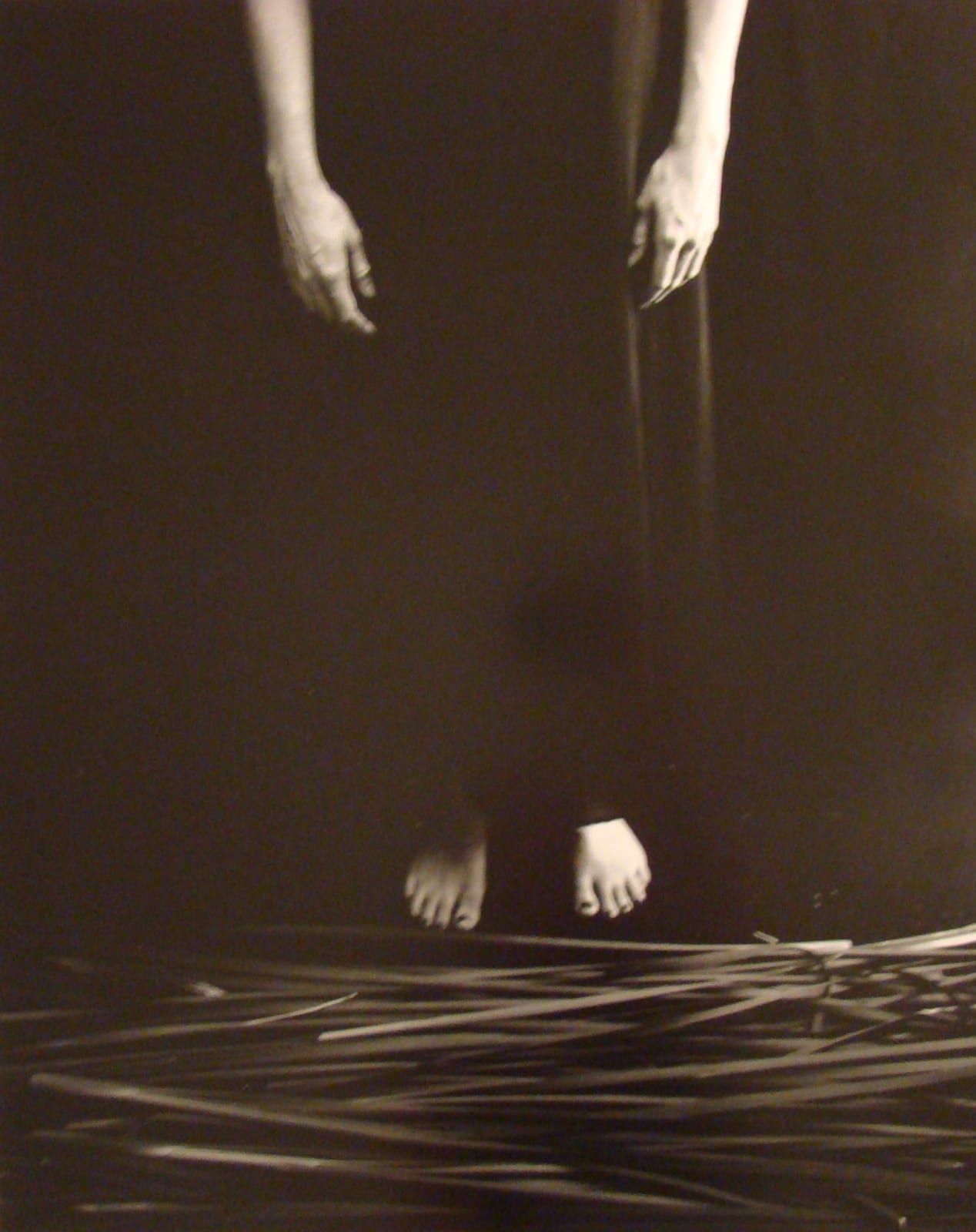 Carola Dreidemie, Grass Woman (II), 2002