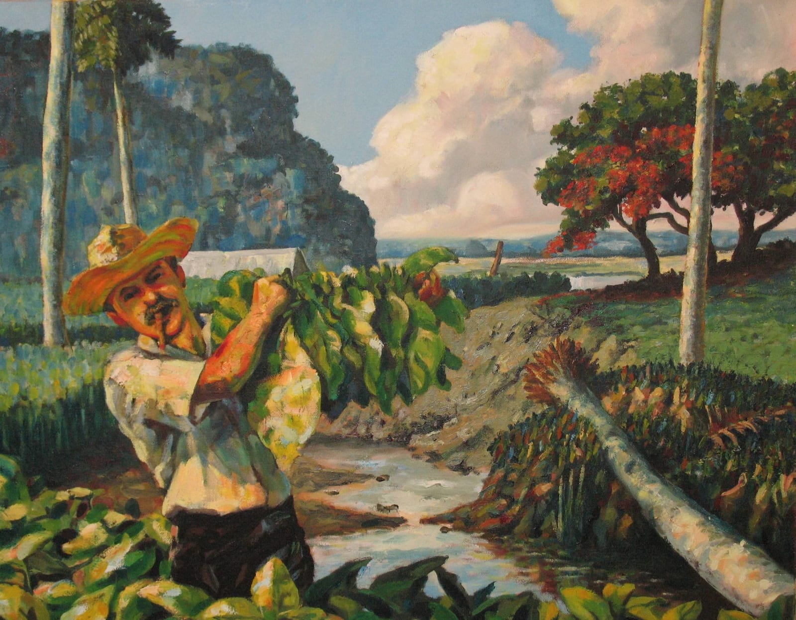 ANONYMOUS - CUBAN, Tobacco Field Worker, N.D.