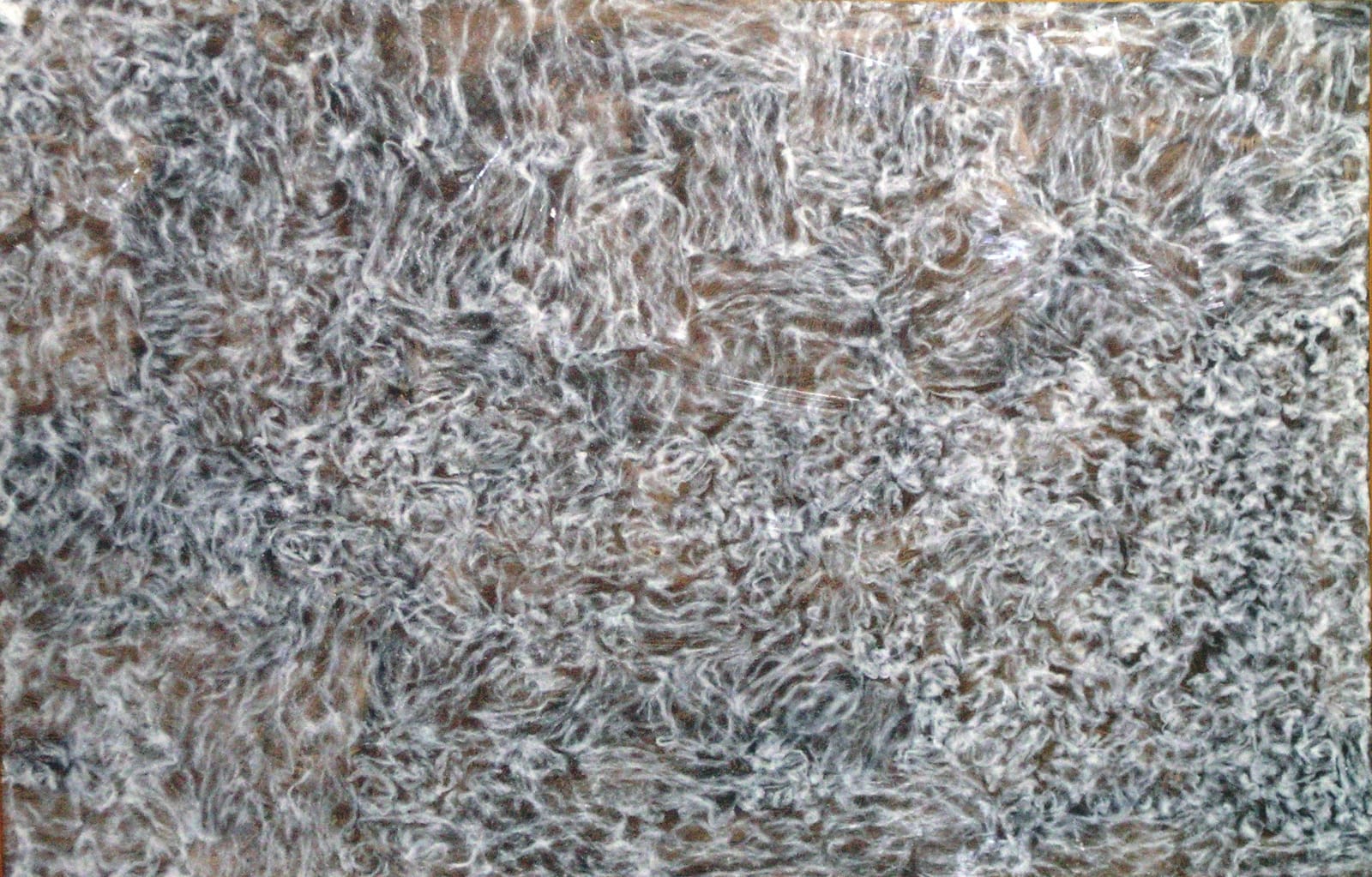 Tania Bruguera, Untitled, 1999