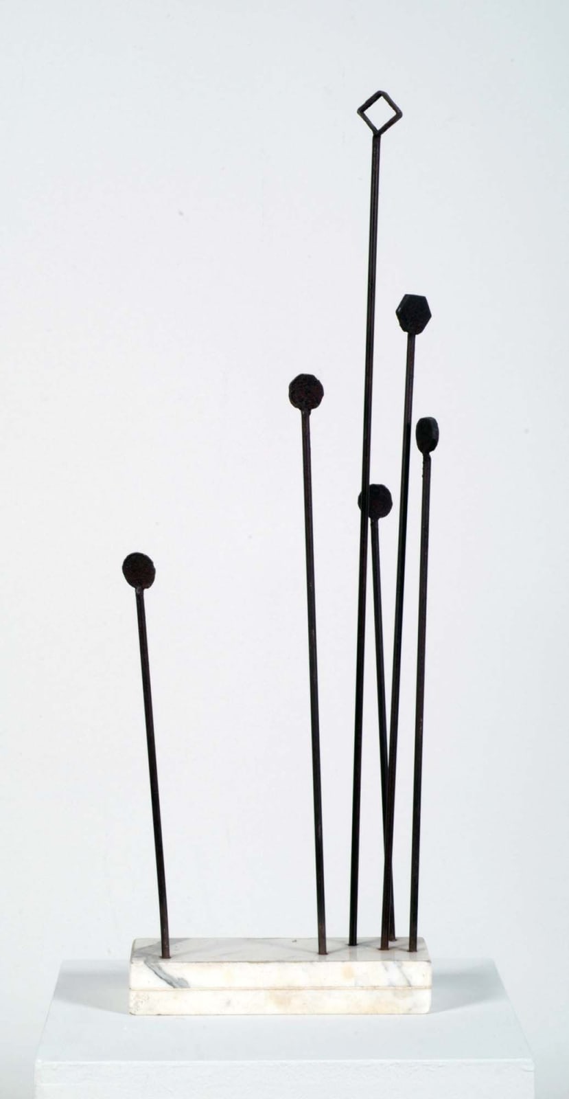 Carolina Sardi, Plaza, 1995