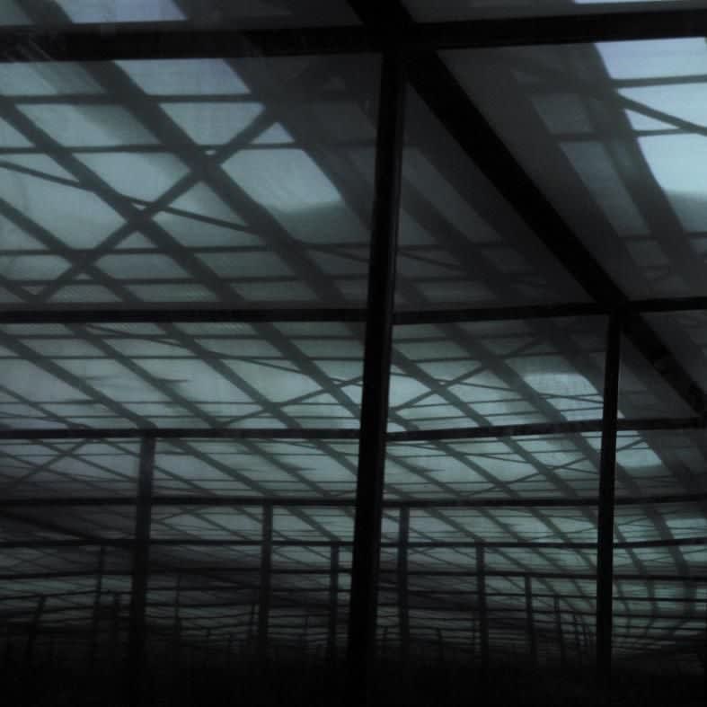 Graciela Sacco, How much is a square meter of Exile? From M2 Infinite series, 2009