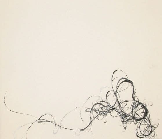 Andrea Cote, Untitled, from Wisps Series, 2009