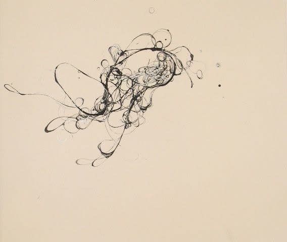 Andrea Cote, Untitled, from Wisps Series, 2009