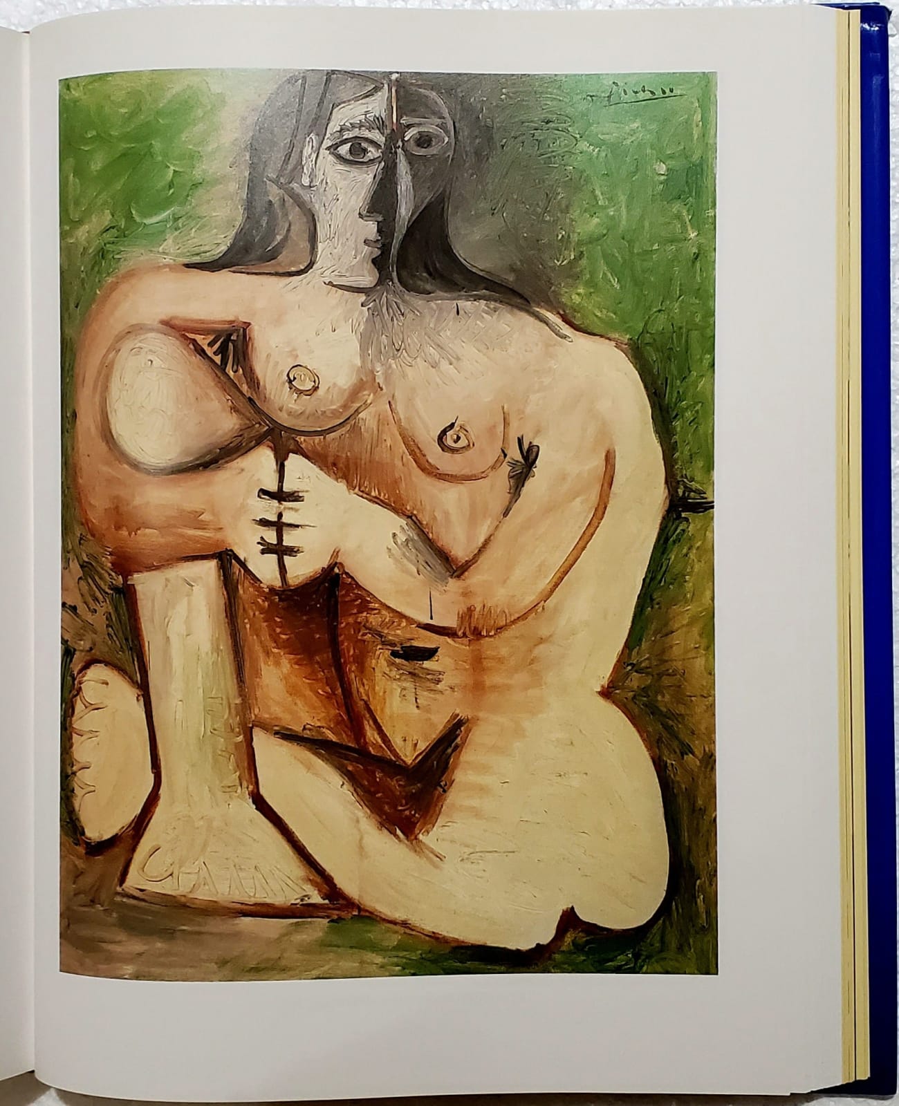 Pablo Picasso, Pablo Picasso. 1881-1973, 1997