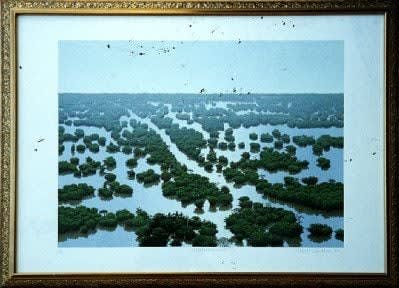 Tomas Sanchez, Inundacion, 1991