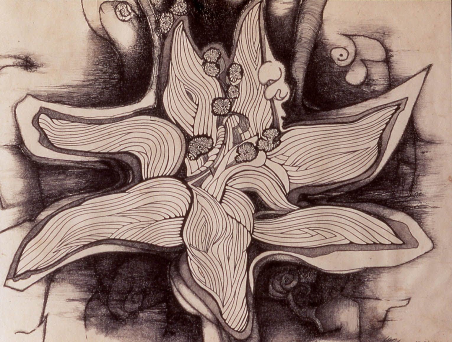 Luis Martinez-Pedro, Flower (Schuman) (1984), 1984