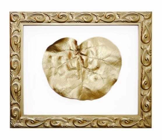 Francis Acea, Golden Years, 2008