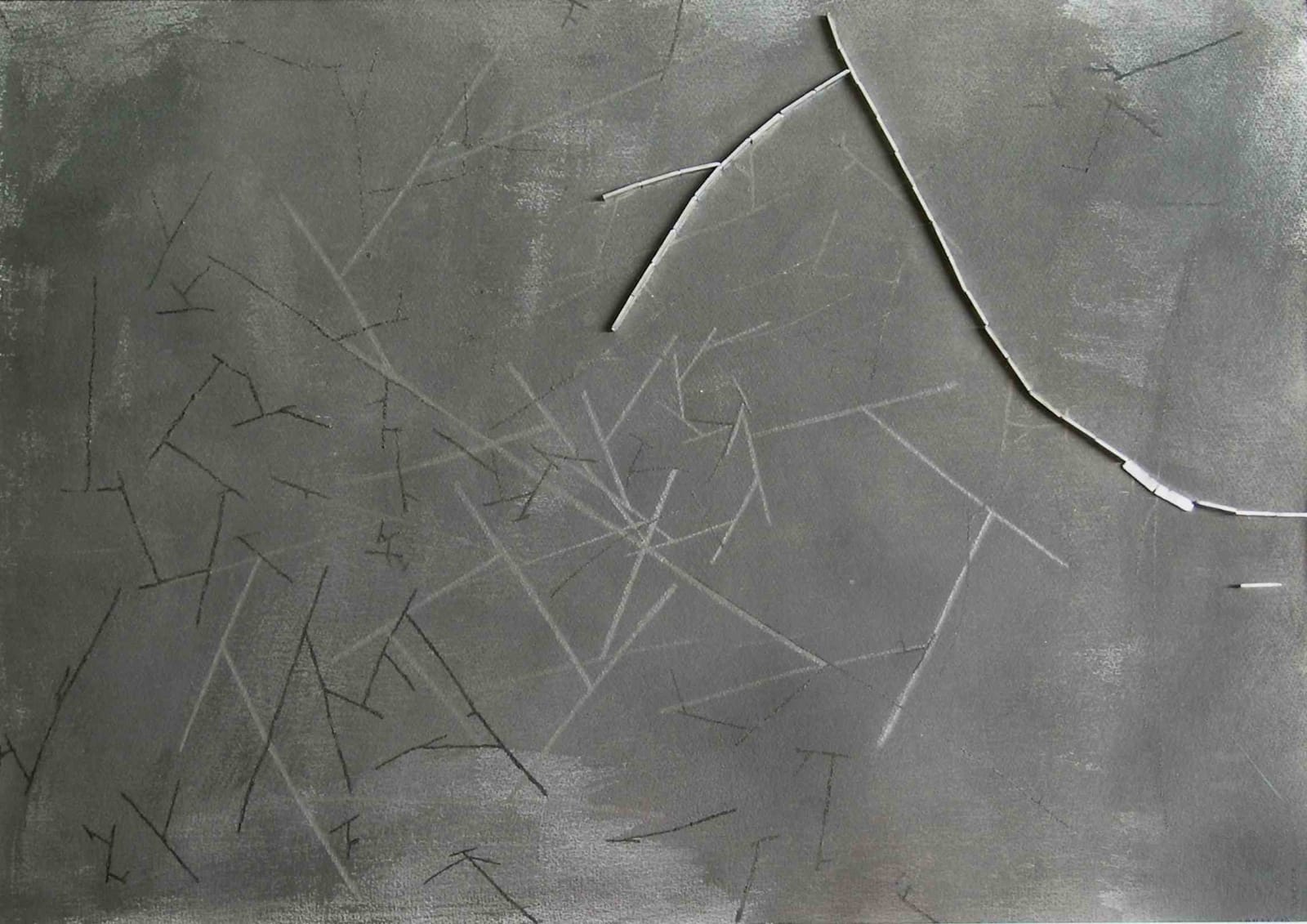 Tania Bruguera, Untitled, 1997-2001
