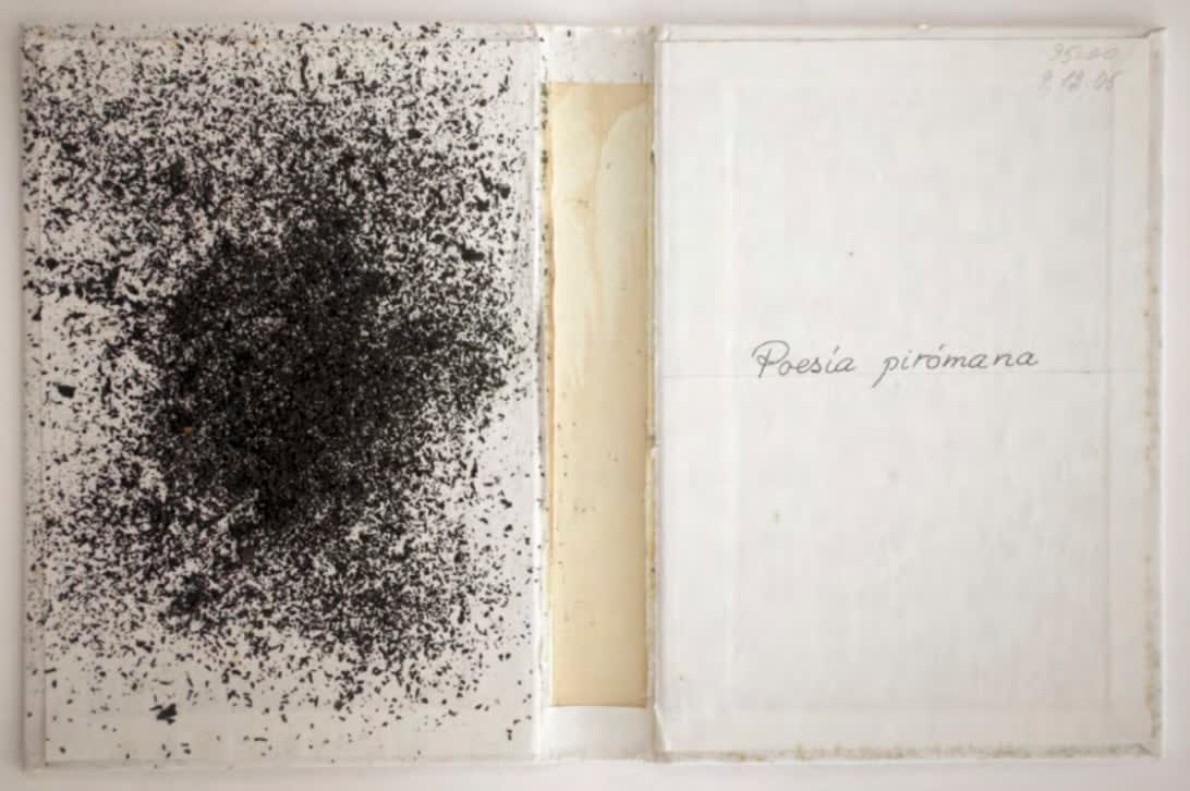 Ivan Perera, Poesía pirómana III, 2022