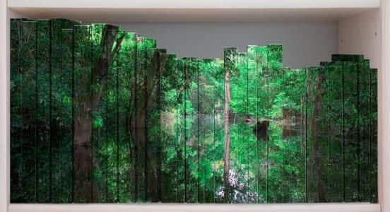 Claudia Jaguaribe, Biblioteca III, 2008