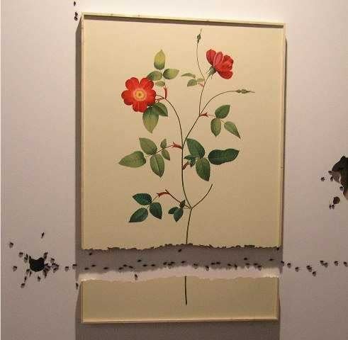 Jorge Perianes, Untitled, 2007